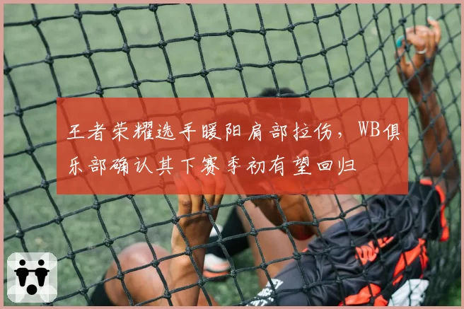 王者荣耀选手暖阳肩部拉伤，WB俱乐部确认其下赛季初有望回归