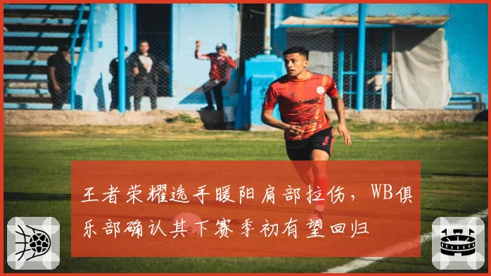 王者荣耀选手暖阳肩部拉伤，WB俱乐部确认其下赛季初有望回归