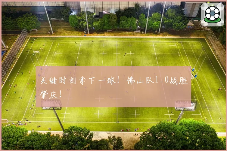 关键时刻拿下一球!佛山队1_0战胜肇庆!